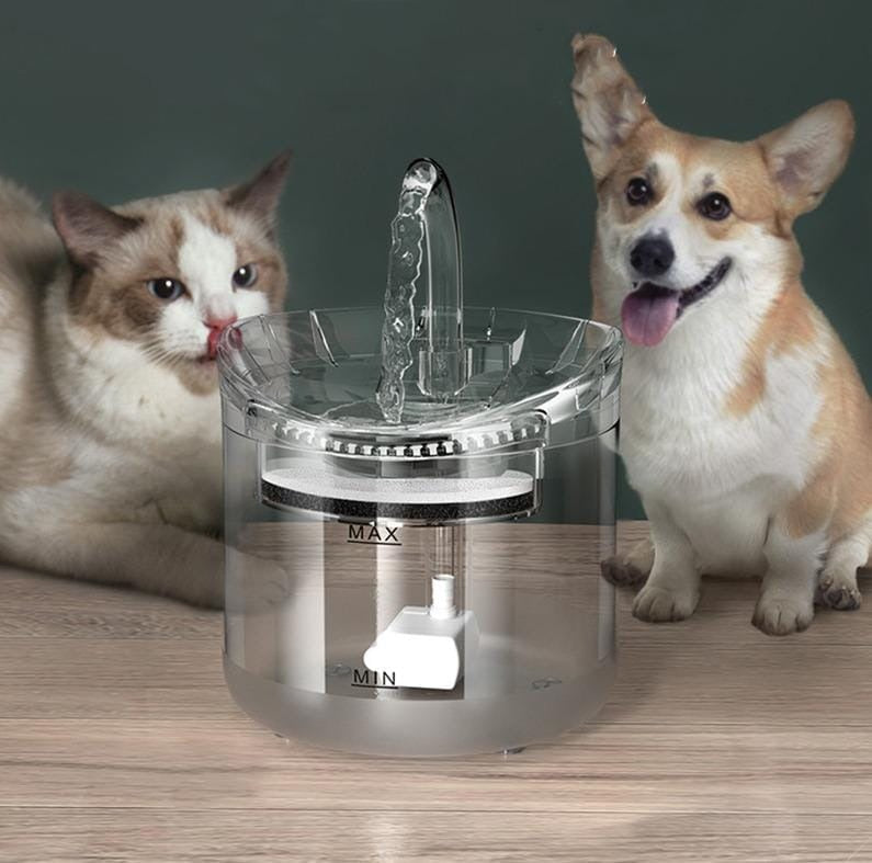 💧 El Sistema Anti-Sed que Protege la Salud de tu Mascota